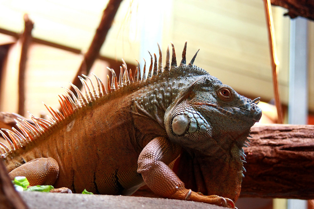 Besuch im Bochumer Tierpark #1