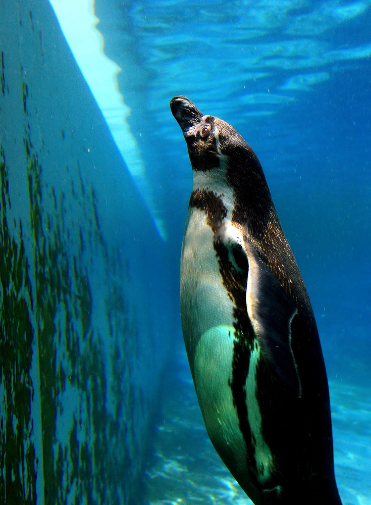 Besuch im Bochumer Tierpark #3