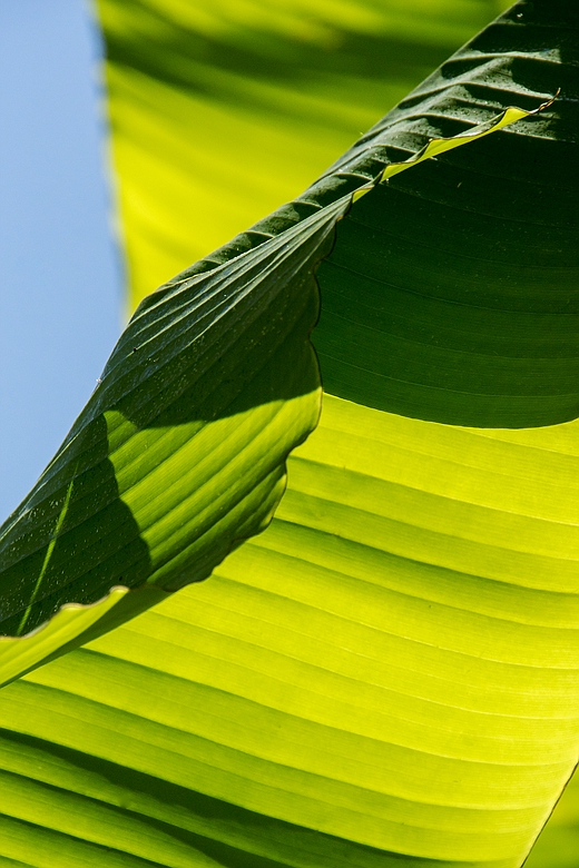 Besuch im Botanischen Garten-01