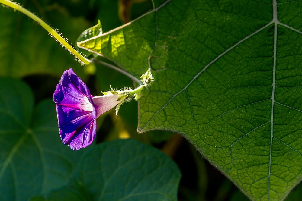 Besuch im Botanischen Garten 01