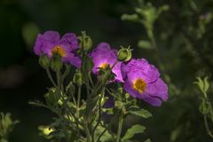 Besuch im Botanischen Garten-03