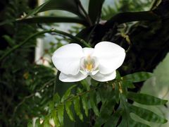 Besuch im botanischen Garten 03