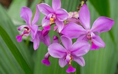 Besuch im Botanischen Garten