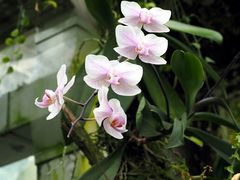 Besuch im botanischen Garten 04