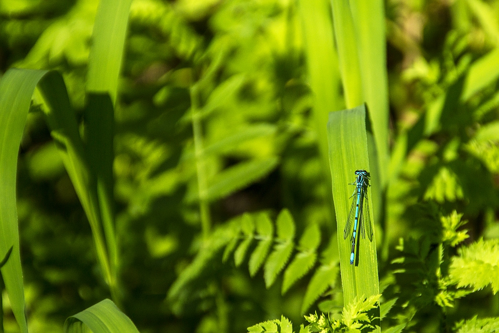 Besuch im Botanischen Garten-04