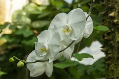 Besuch im Botanischen Garten-05