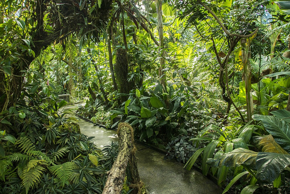 Besuch im Botanischen Garten-06