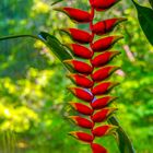 Besuch im botanischen Garten-1010487-2