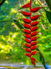 Besuch im botanischen Garten-1010487-2