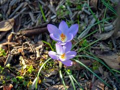 Besuch im botanischen Garten-1010783