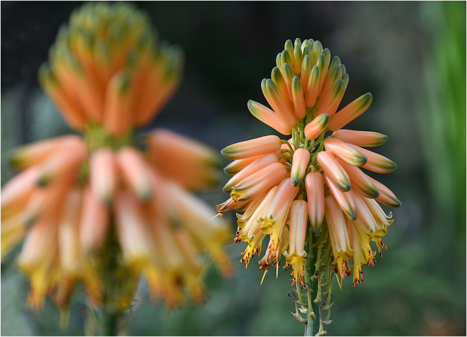 Besuch im Botanischen Garten 2