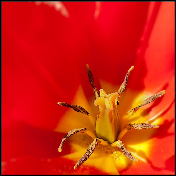 Besuch im Botanischen Garten