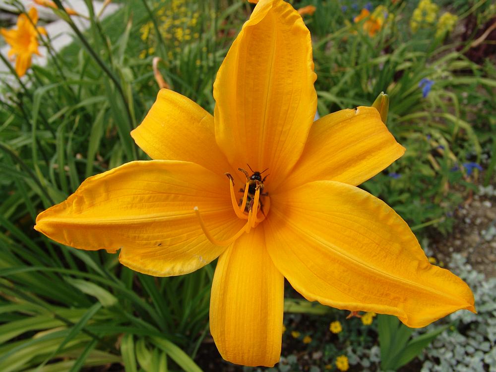 Besuch im Botanischen Garten