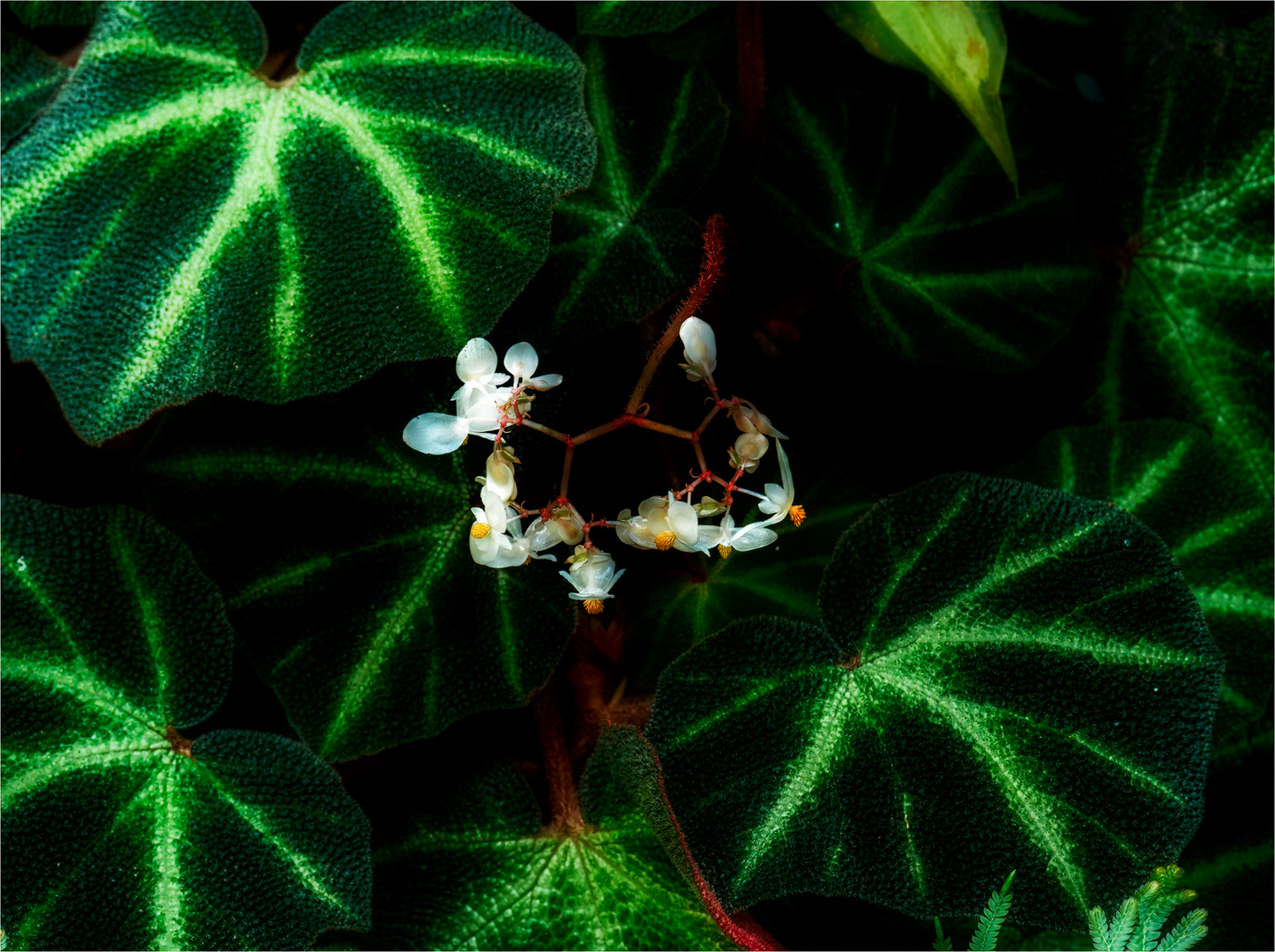 Besuch im Botanischen Garten