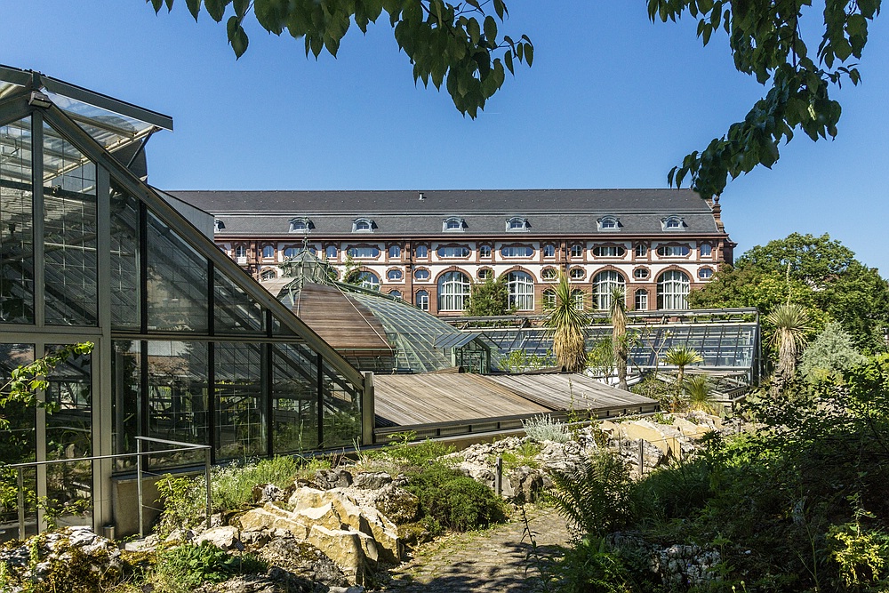 Besuch im Botanischen Garten