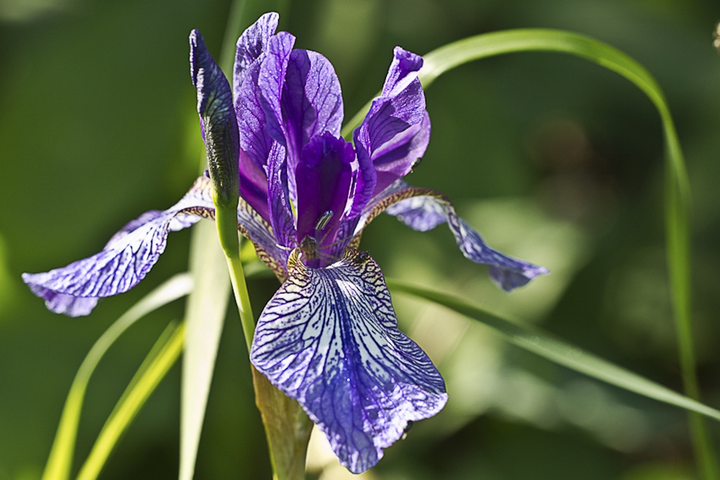 Besuch im Botanischen Garten, Bochum 1