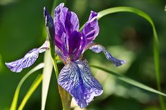 Besuch im Botanischen Garten, Bochum 1