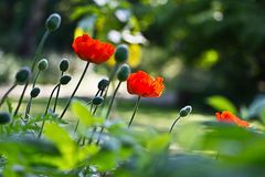 Besuch im Botanischen Garten, Bochum 2