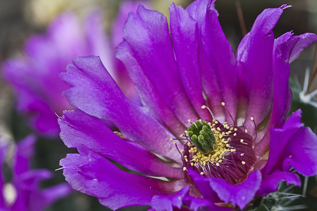 Besuch im Botanischen Garten, Bochum 3