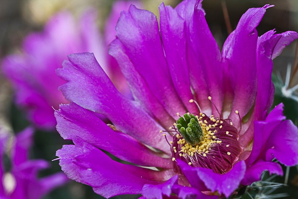 Besuch im Botanischen Garten, Bochum 3