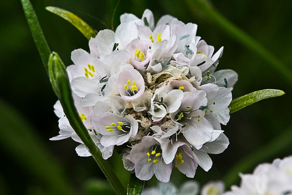 Besuch im Botanischen Garten, Bochum 4