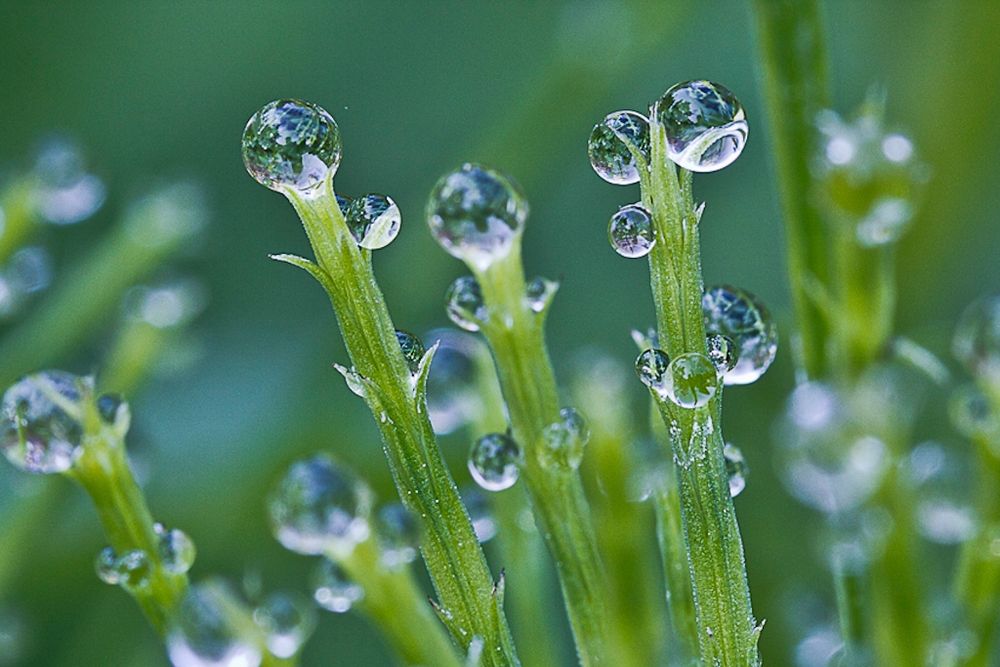 Besuch im Botanischen Garten, Bochum 5