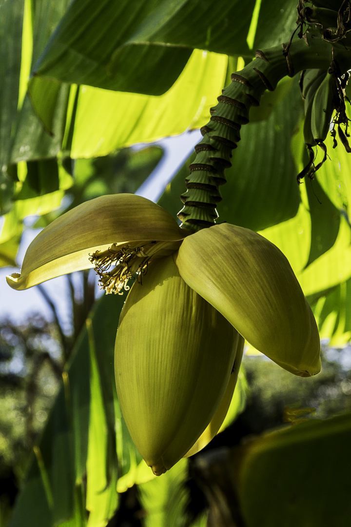 Besuch im Botanischen Garten