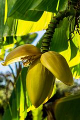 Besuch im Botanischen Garten