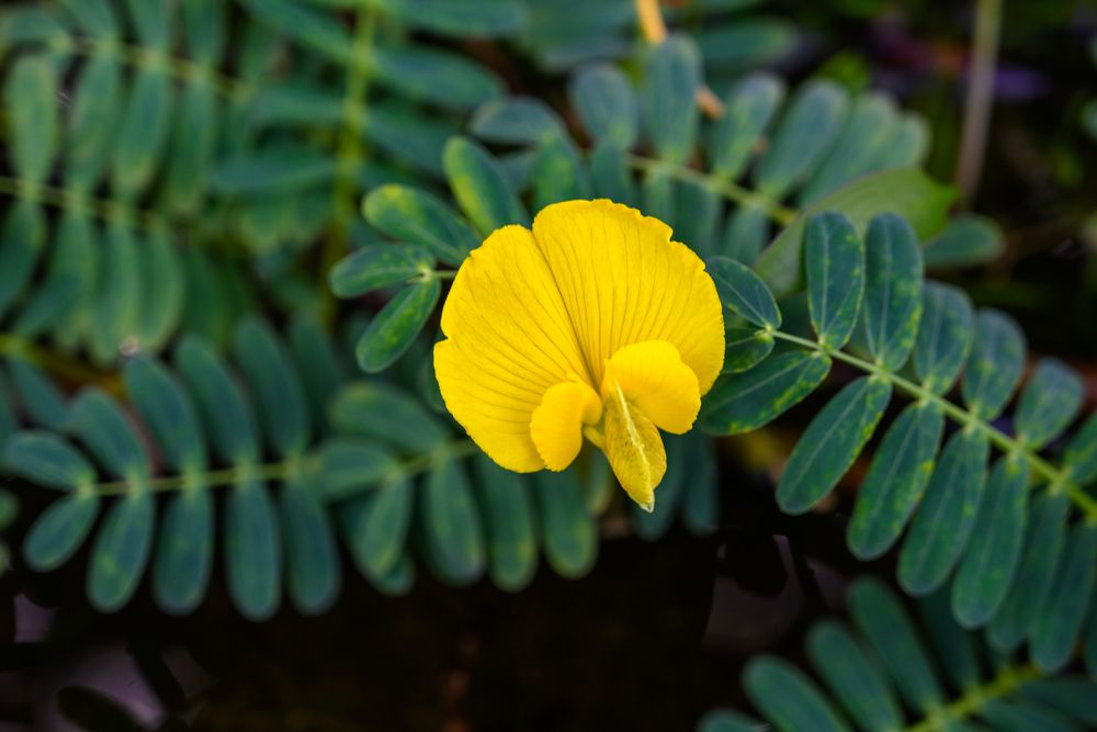 Besuch im botanischen Garten-DSC_0851