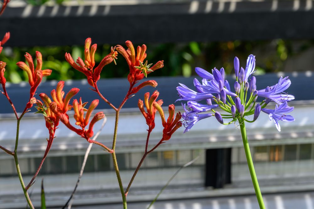 Besuch im botanischen Garten-DSC_0865