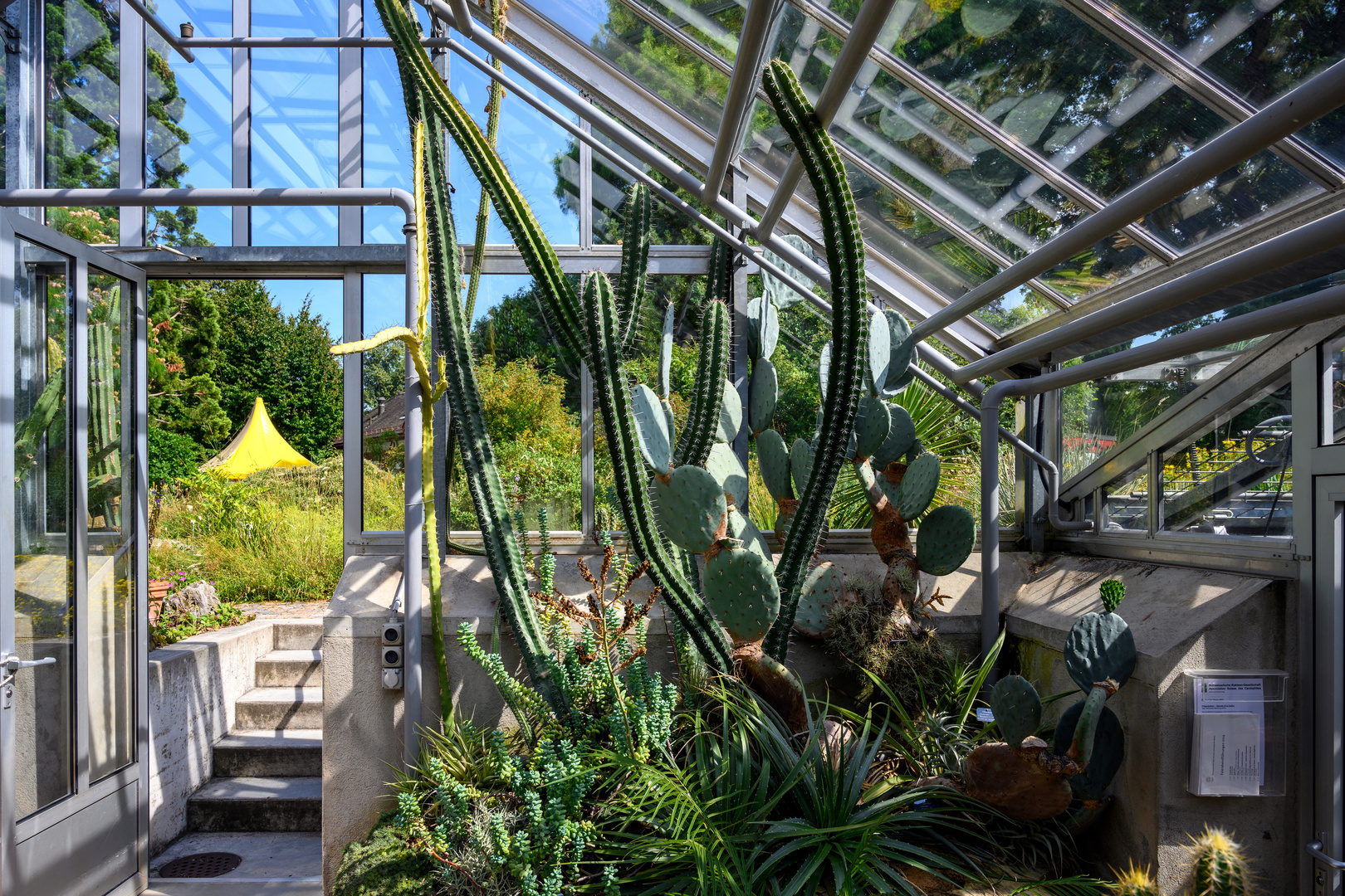 Besuch im botanischen Garten-DSC_0908-1