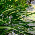 Besuch im botanischen Garten-DSC_0921