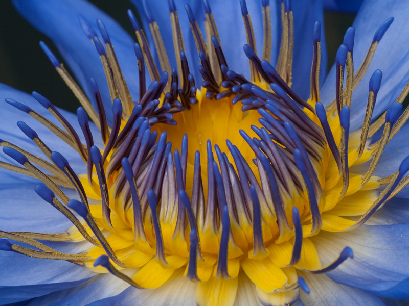 Besuch im Botanischer Garten Bonn