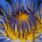 Besuch im Botanischer Garten Bonn