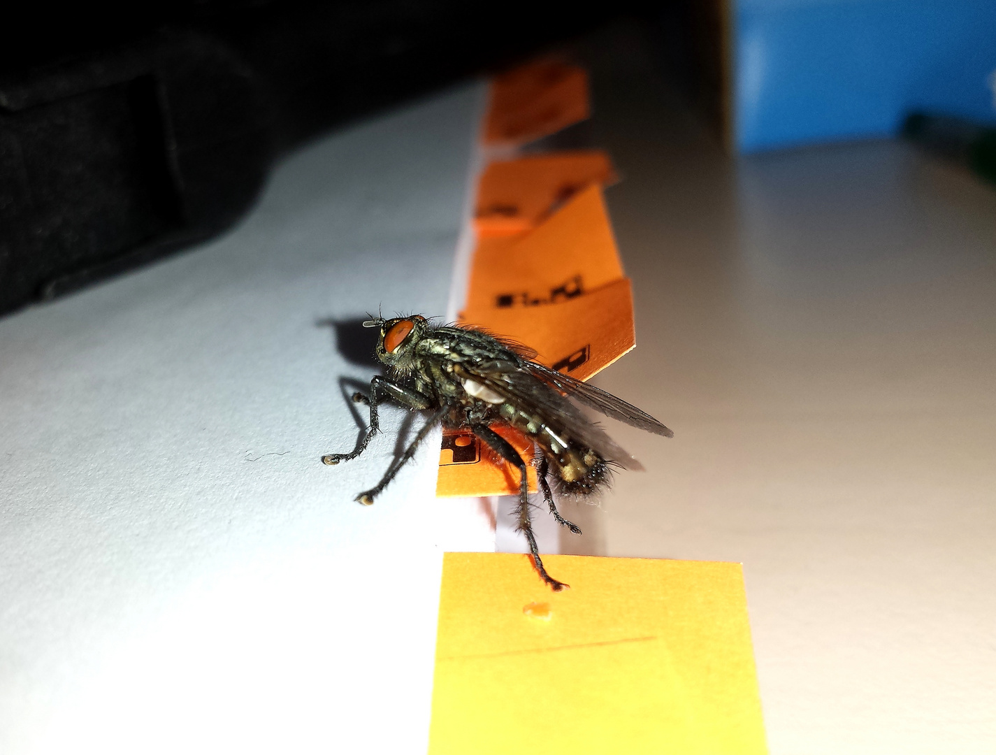 Besuch im Büro...