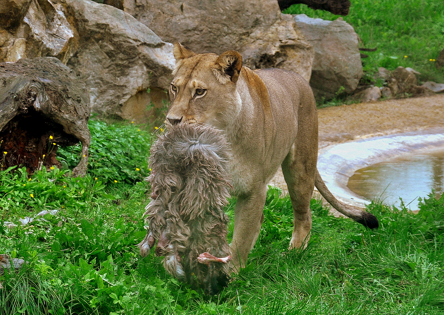 Besuch im Erfurter Zoo