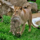 Besuch im Erfurter Zoo