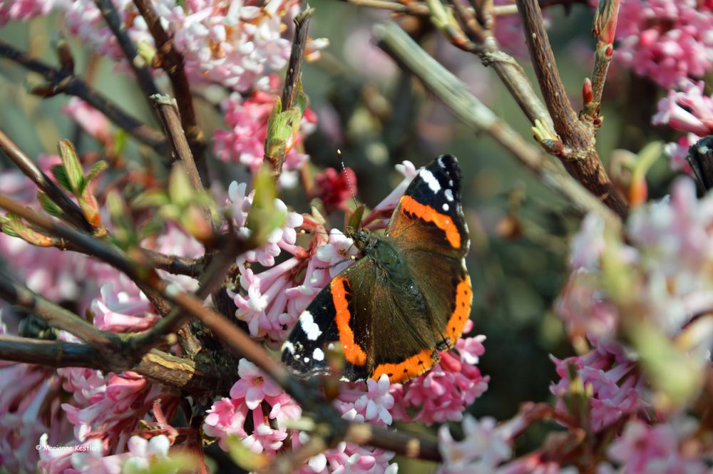 Besuch im Februar...