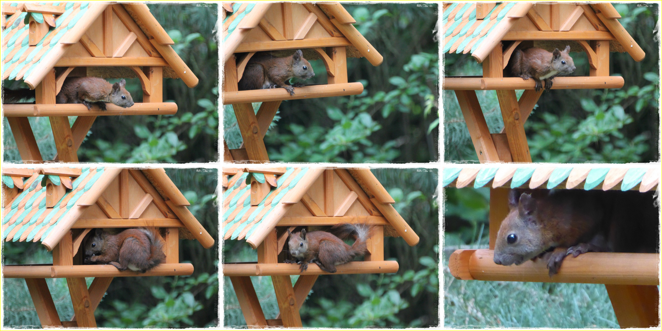 Besuch im Futterhaus