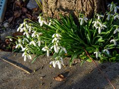 Besuch im Garten 04