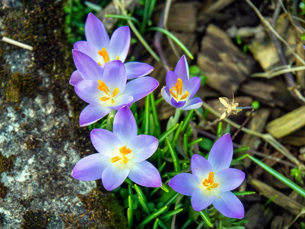 Besuch im Garten 05