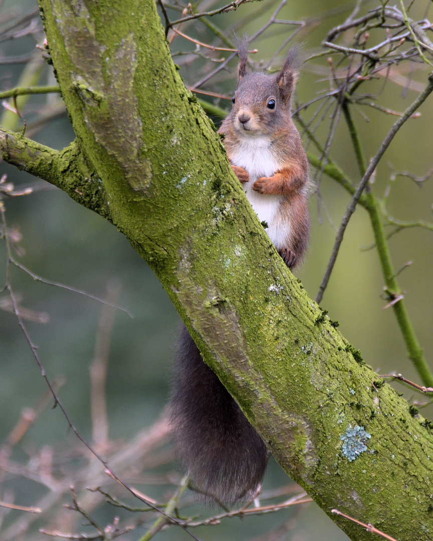 Besuch im Garten