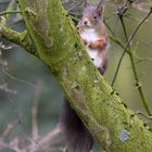 Besuch im Garten