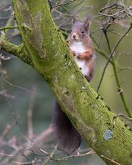 Besuch im Garten