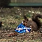 BESUCH IM GARTEN