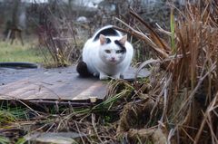 Besuch im Garten