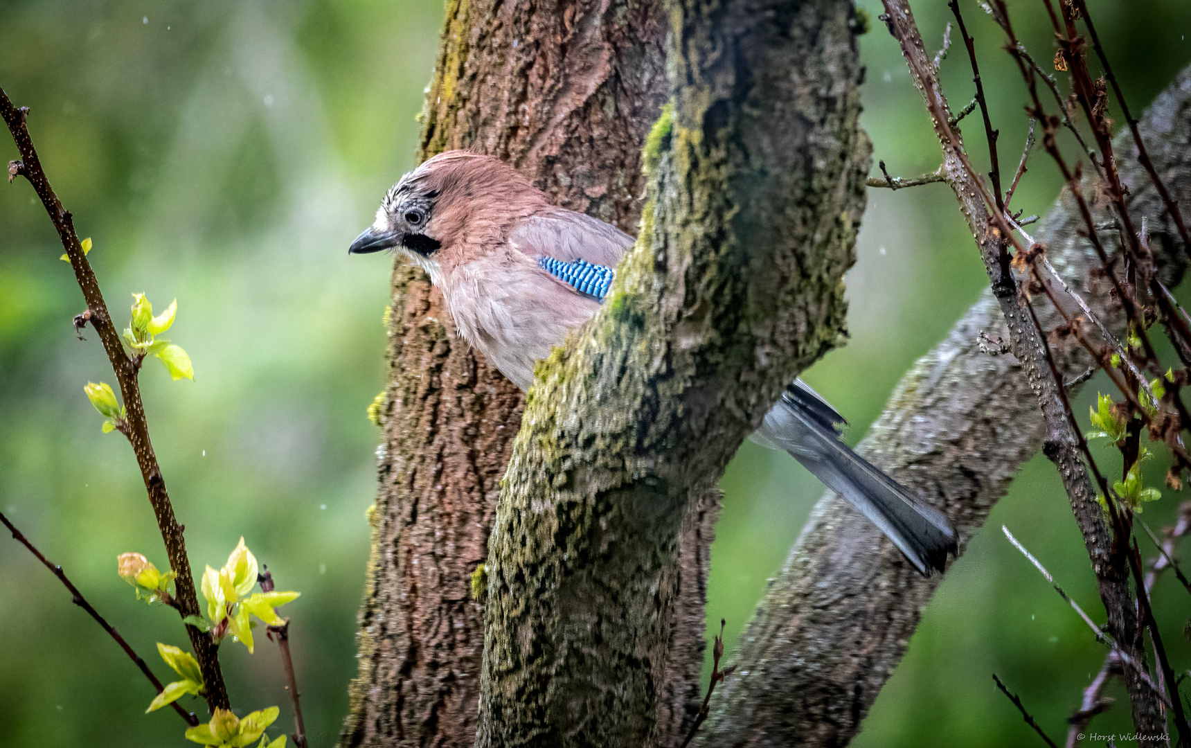 Besuch im Garten