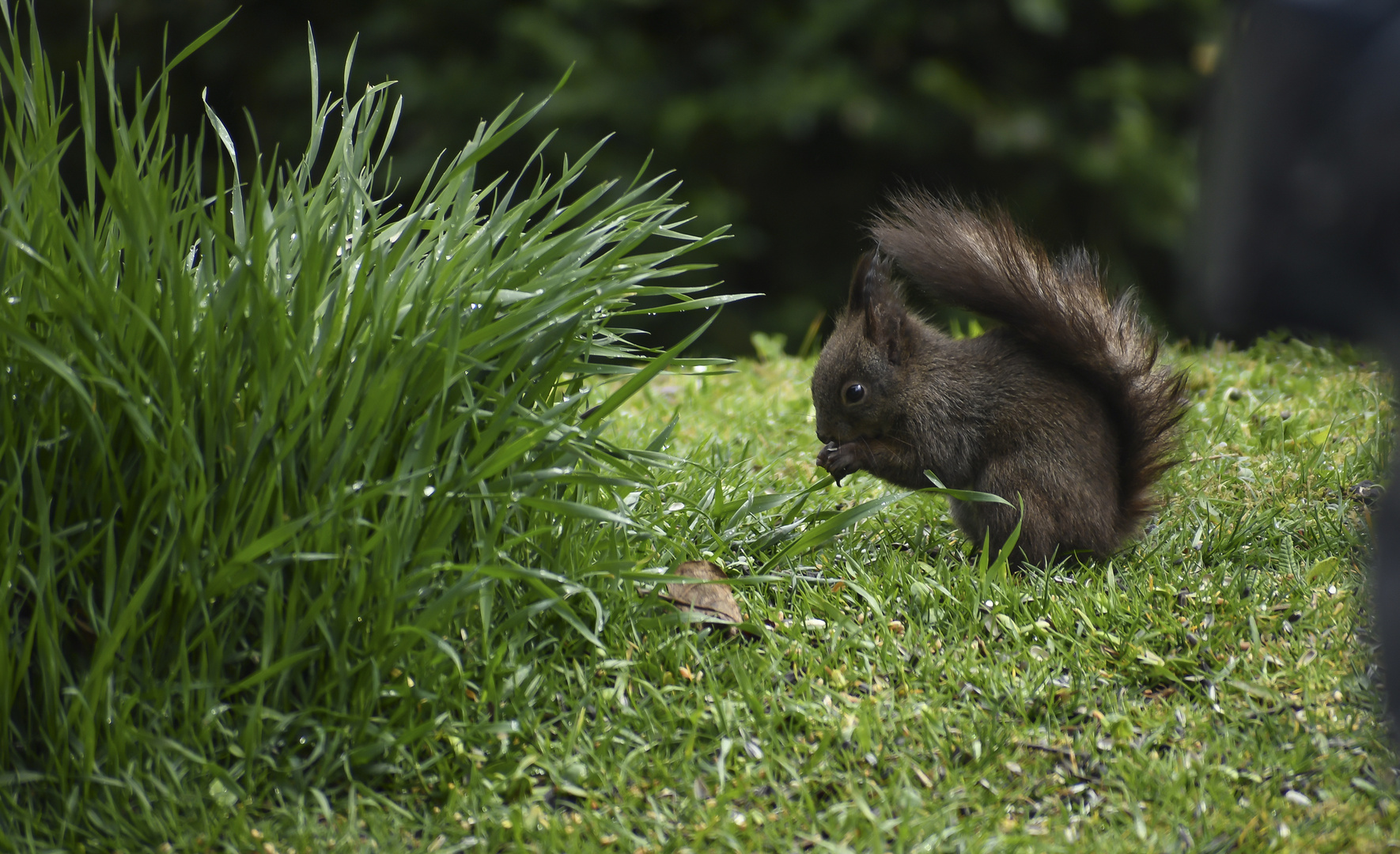 Besuch im Garten 2