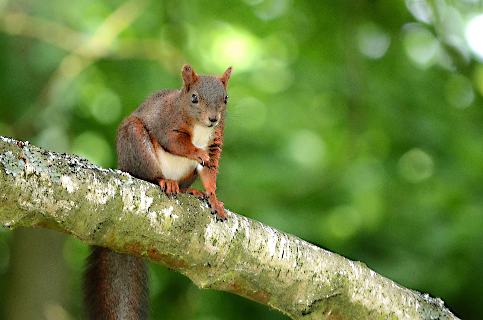 Besuch im Garten