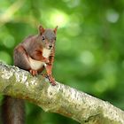 Besuch im Garten